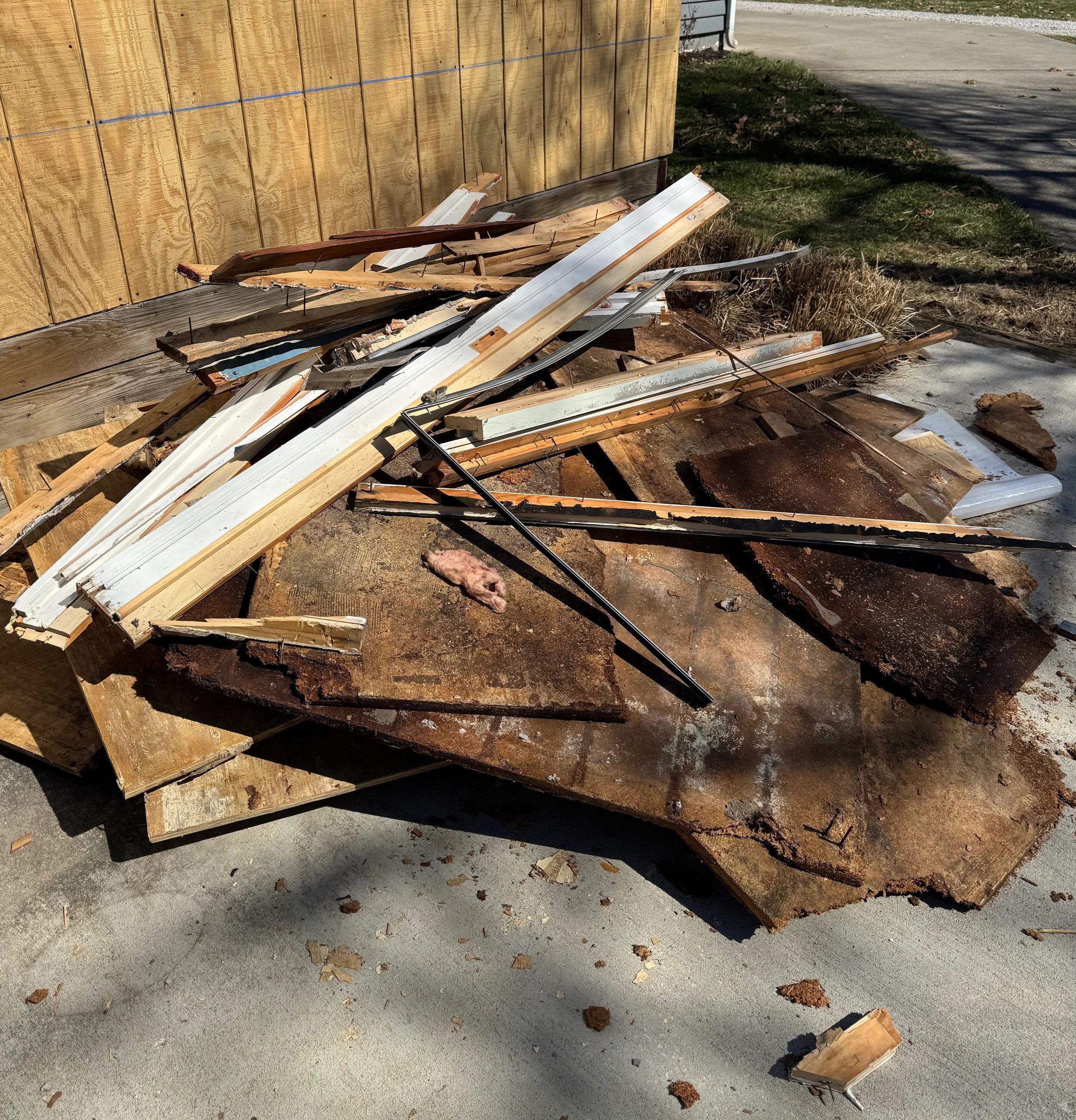 Yard debris cleanup