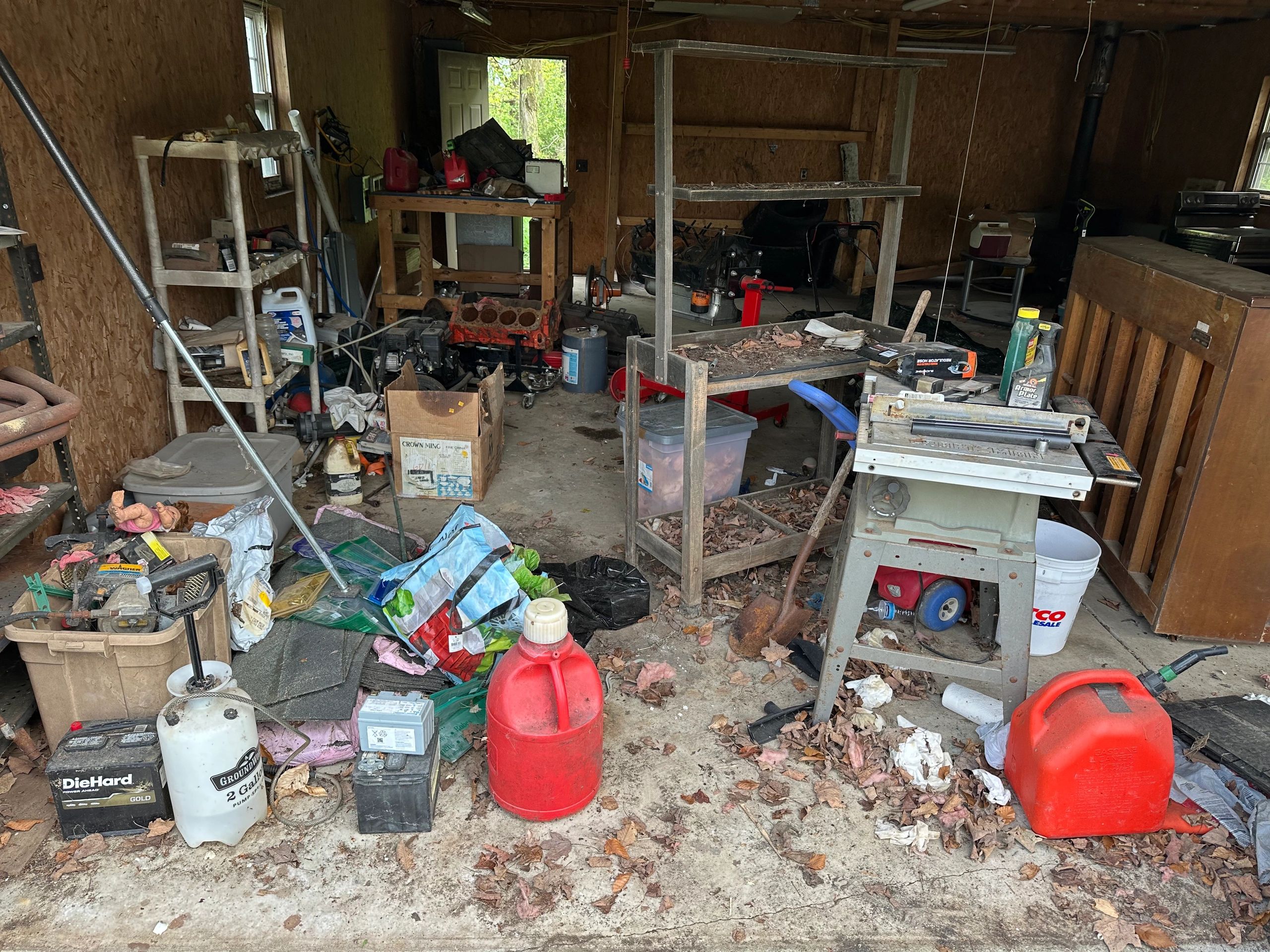 Cleanout project
